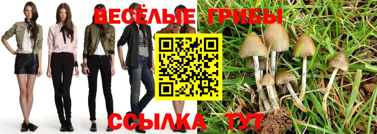 Когалым  Галлюциногенные грибы мухоморы  Вход с VPN  Галлюциногенные грибы Psilocybe 