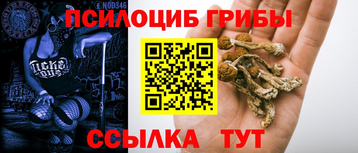 Псилоцибиновые грибы Cubensis Когалым